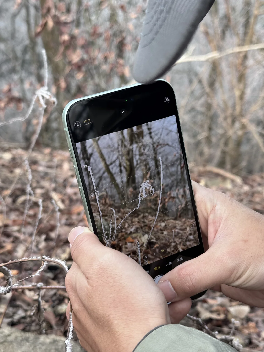 龙王山我又回来了