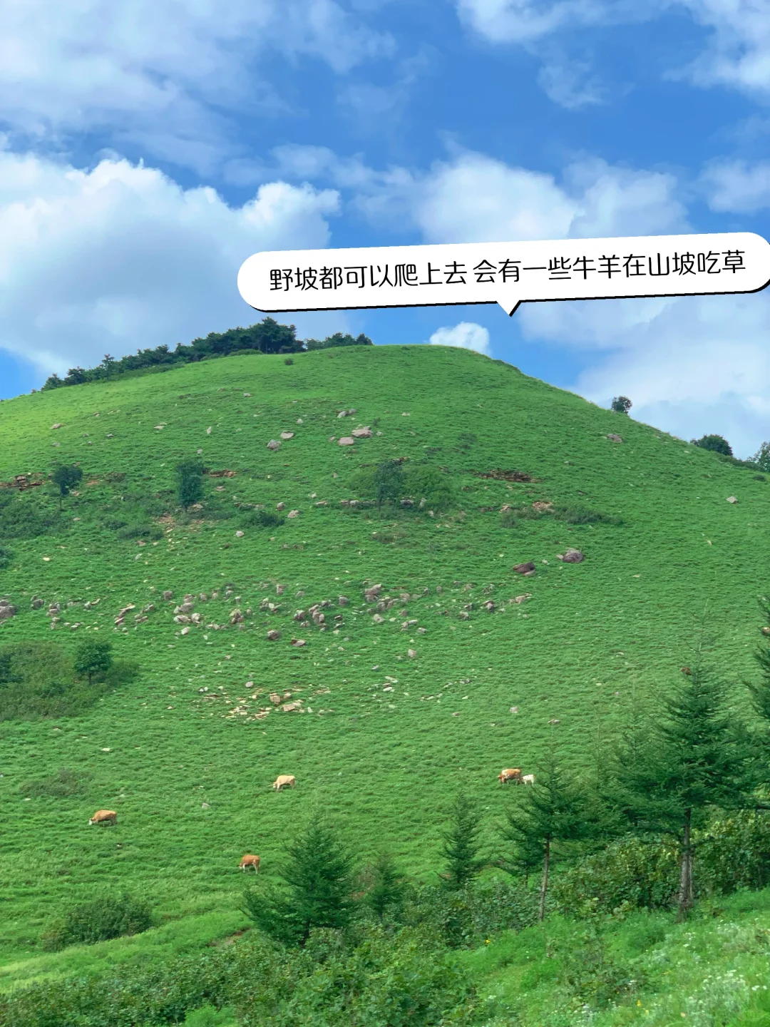 邯郸周边好去处，这里是没有雪山的小新疆