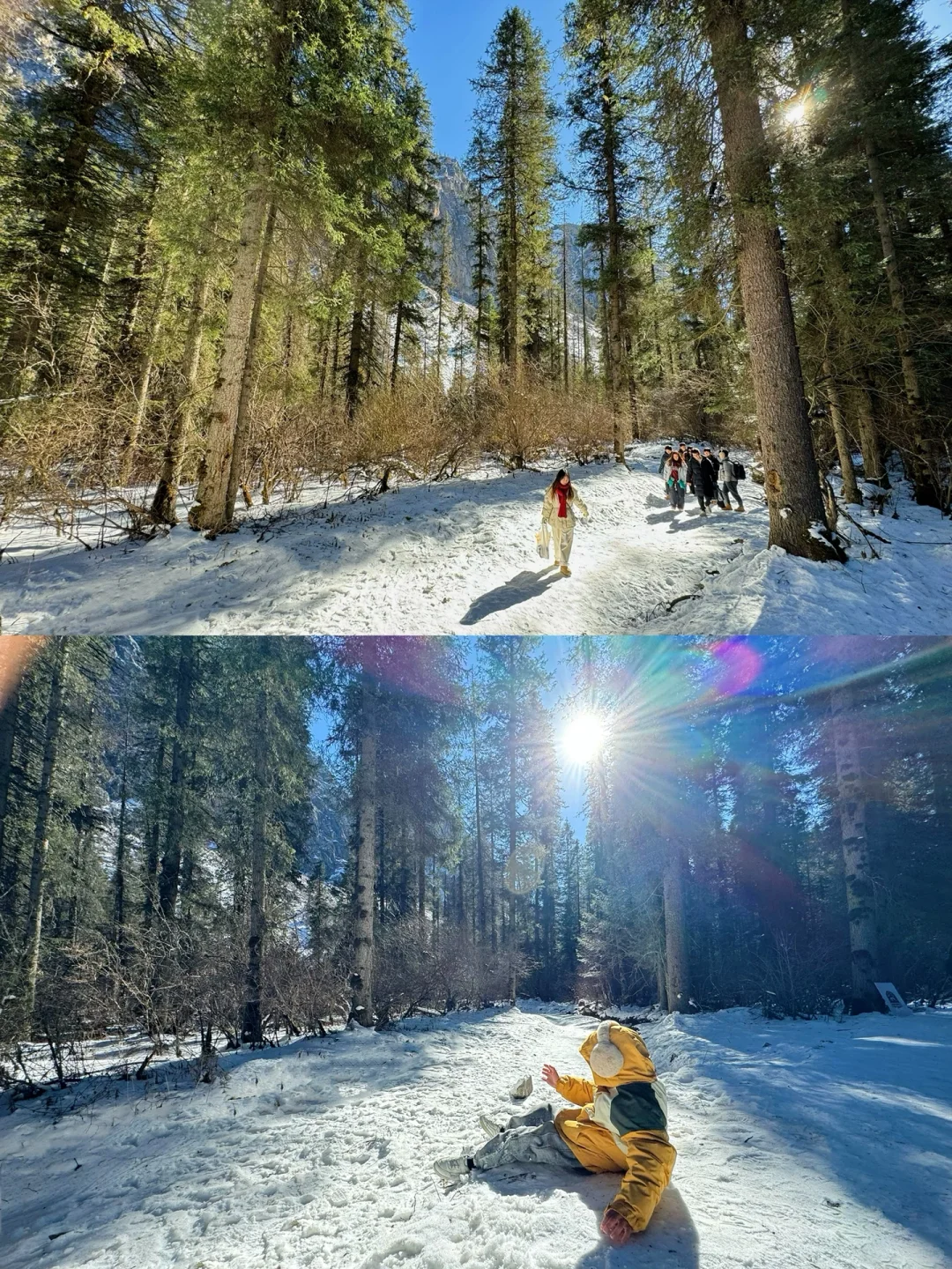 新路线‼️西安2天1夜🏔️北欧雪山森林度周末！