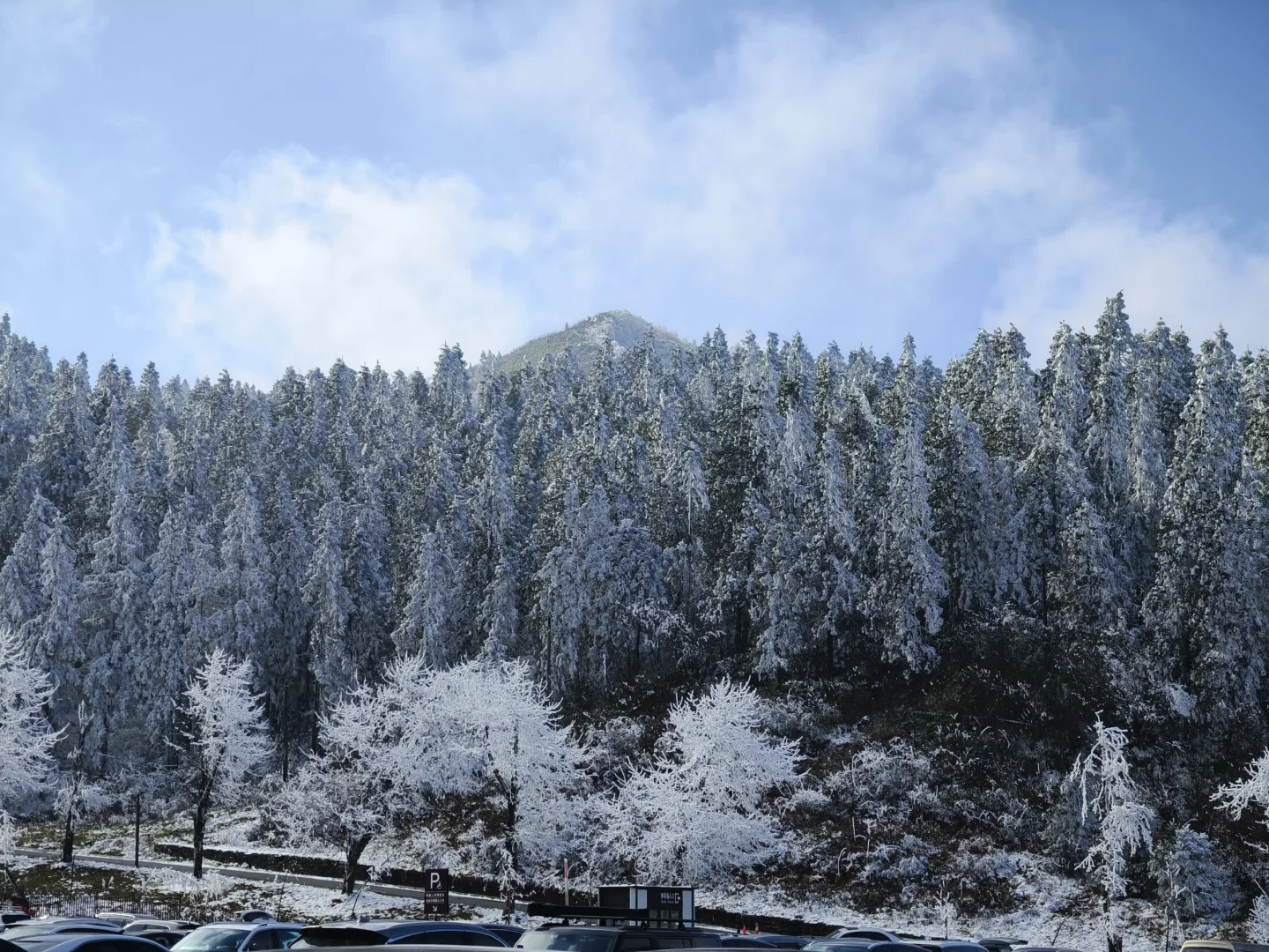 南天湖❄️哪里人少景美出片?(附攻略)