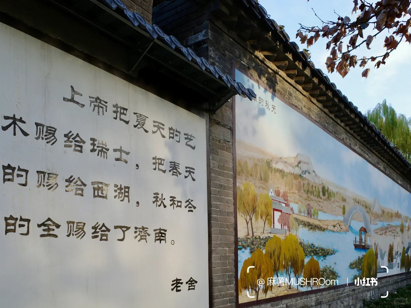 济南漫游收录｜冬日大明湖超出片🍂🍃