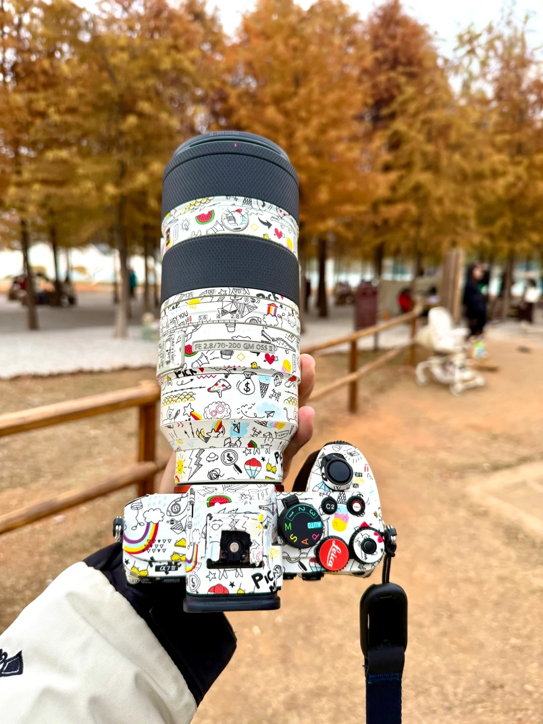 灵龟山落羽杉摄影摆摊！12.17实况！