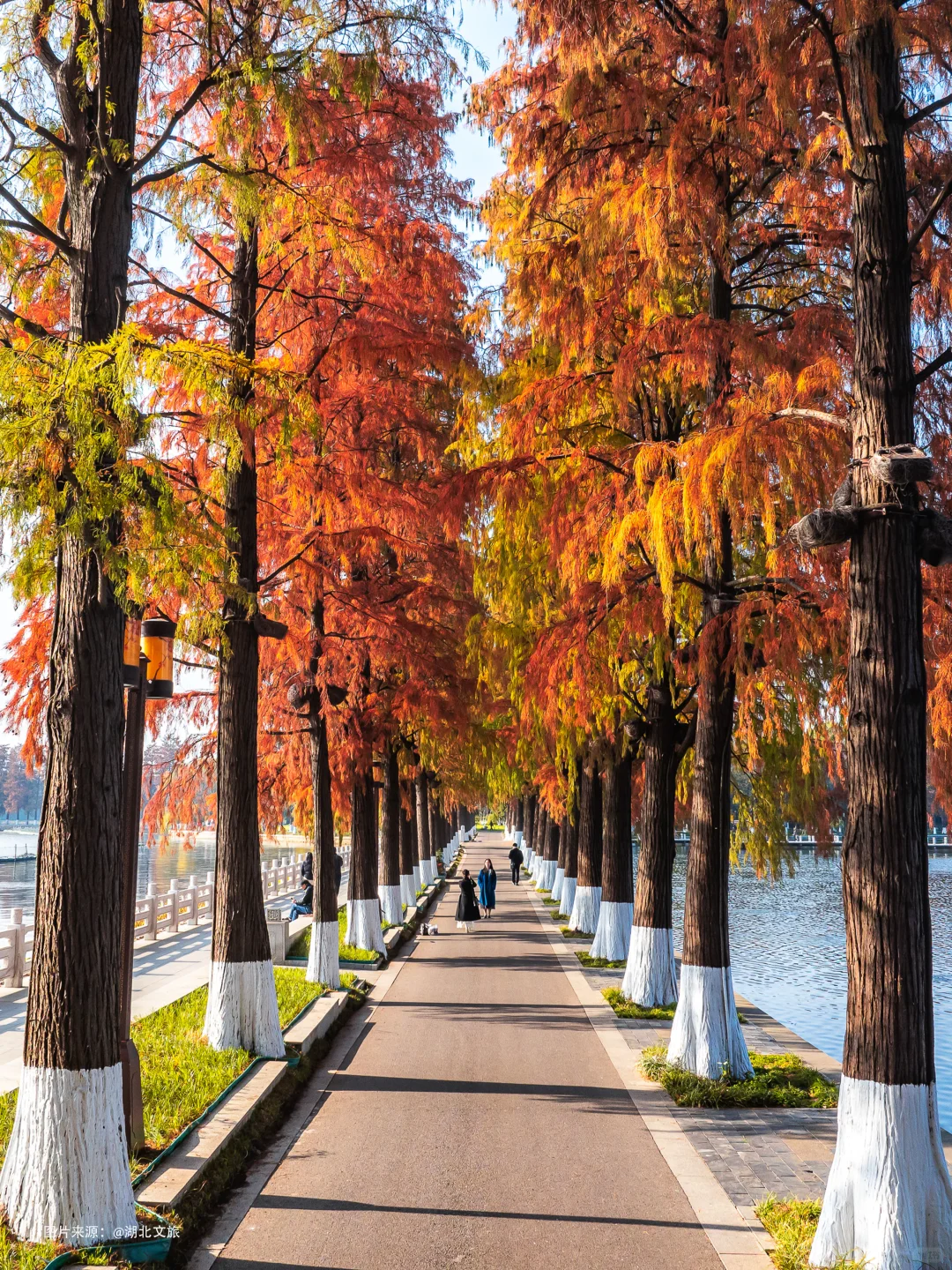 不是照骗❗️12月的武汉东湖美得不像话‼️