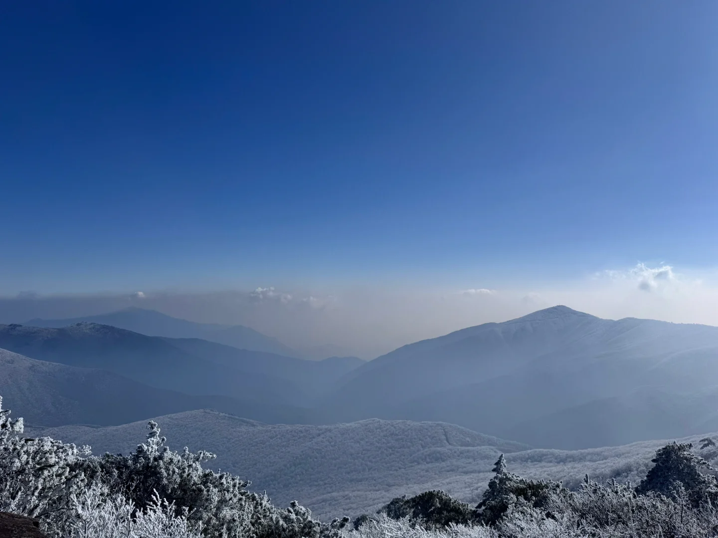 龙王山我又回来了
