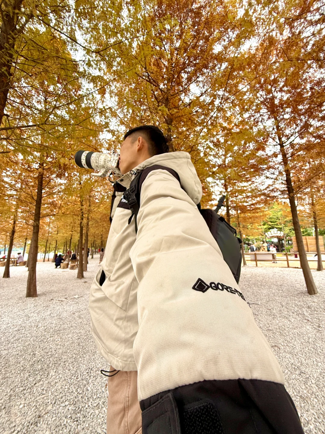 灵龟山落羽杉摄影摆摊！12.17实况！