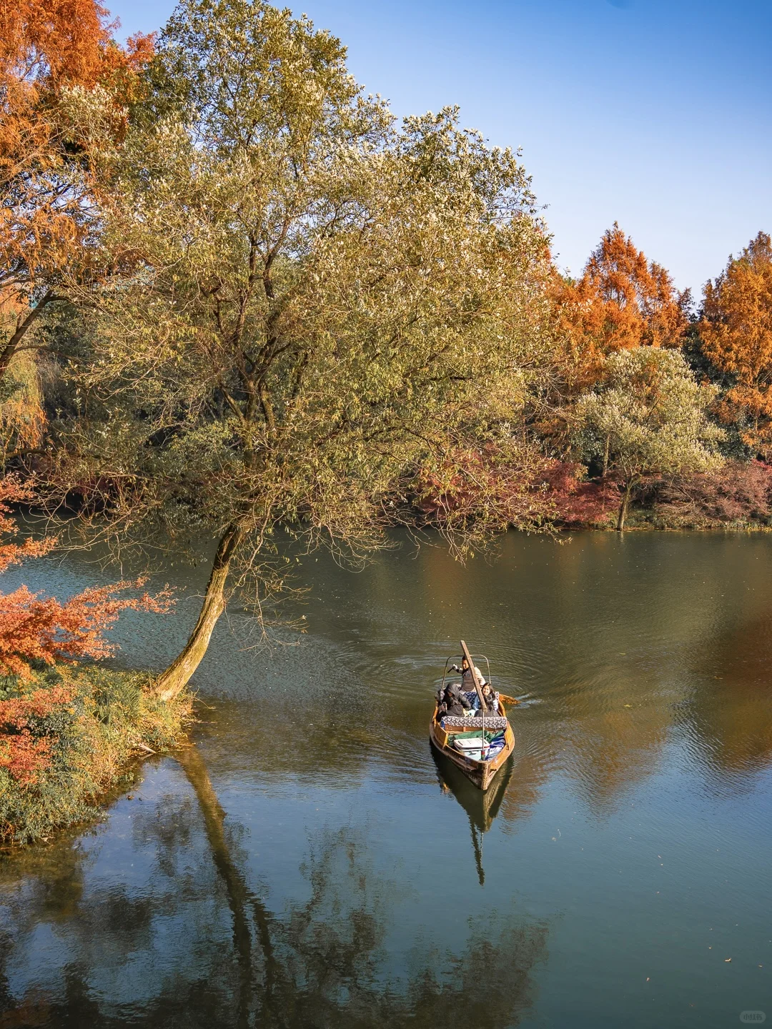 紧邻西湖‼️本地人都爱逛的小众赏秋公园!🍁