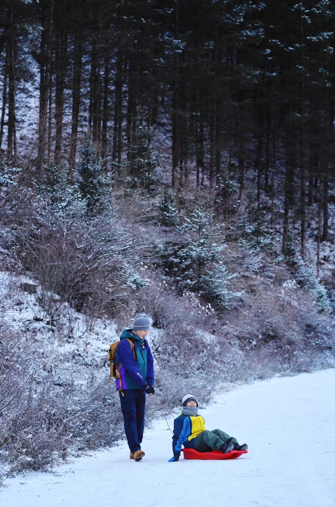 当日往返‼️成都周边🆓童话雪世界❄️附live图
