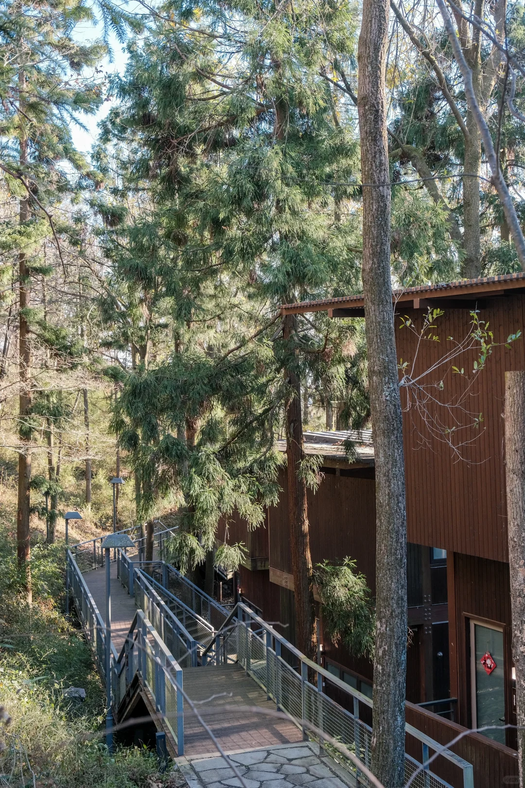 宁波，自然谧境，心归森野✧*｡🌳🌳🌳