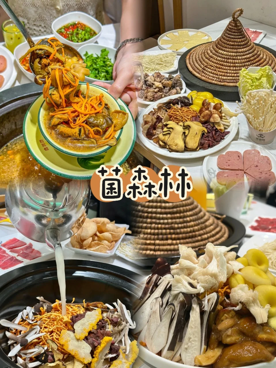 西双版纳5日游懒人版路线‼️不走冤枉路