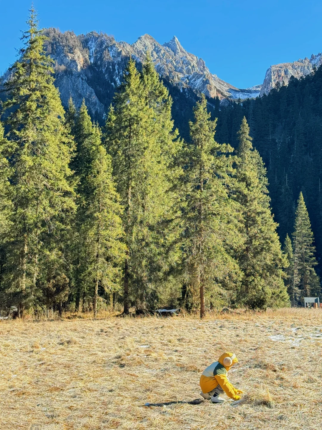 新路线‼️西安2天1夜🏔️北欧雪山森林度周末！