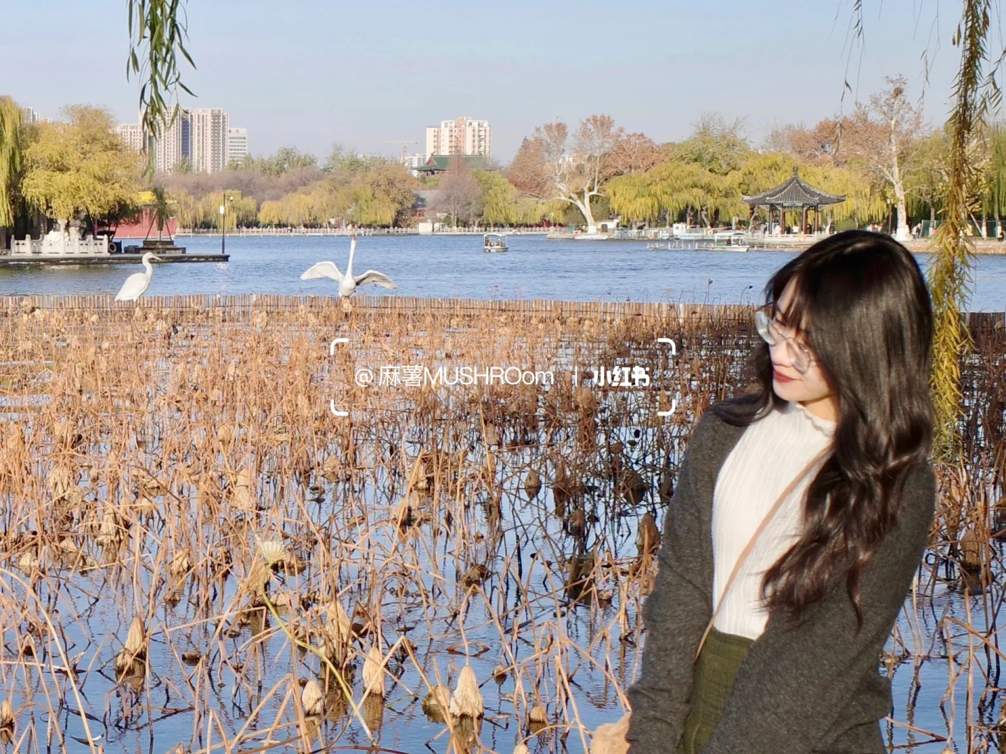 济南漫游收录｜冬日大明湖超出片🍂🍃