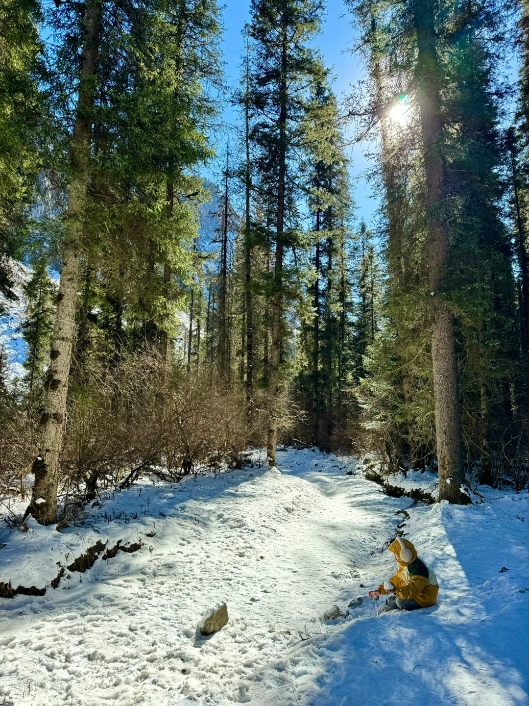 新路线‼️西安2天1夜🏔️北欧雪山森林度周末！