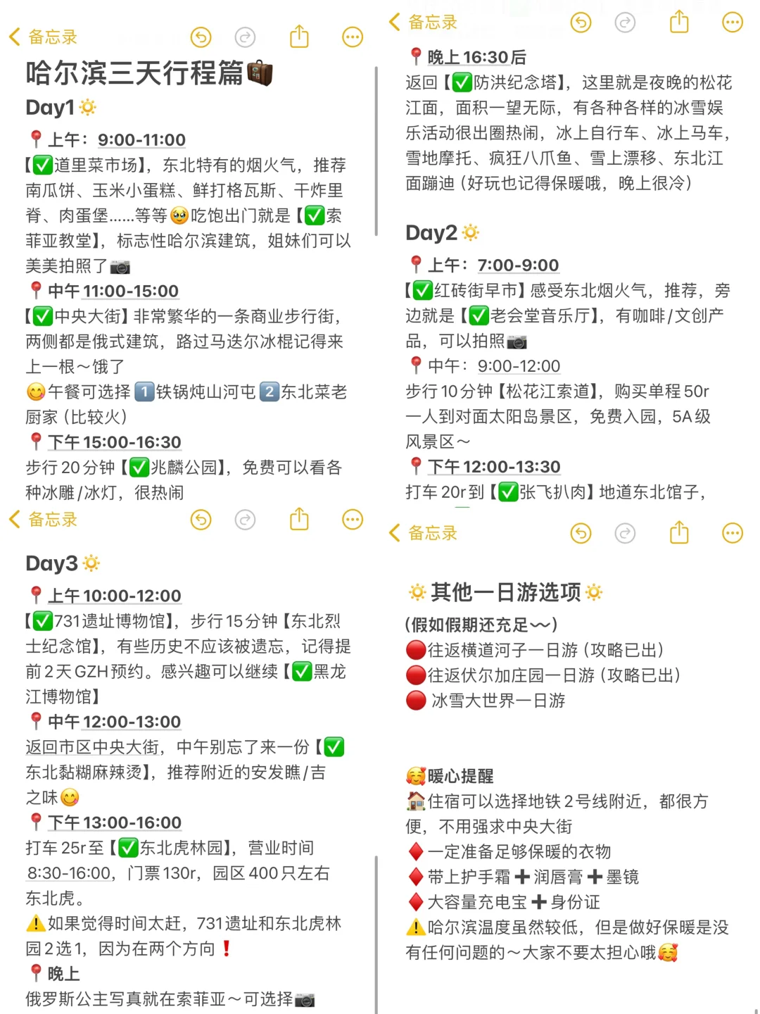 J人姐妹做的哈尔滨攻略🤩已经next level了