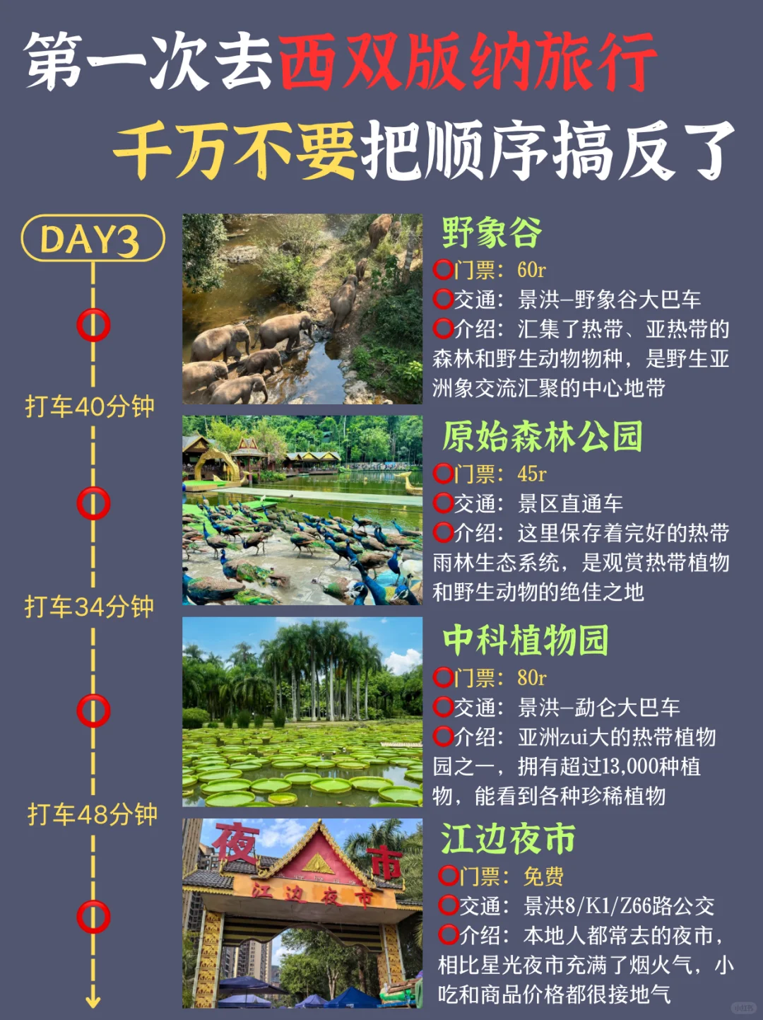 超全西双版纳懒人攻略‼️路线都给你整理好啦
