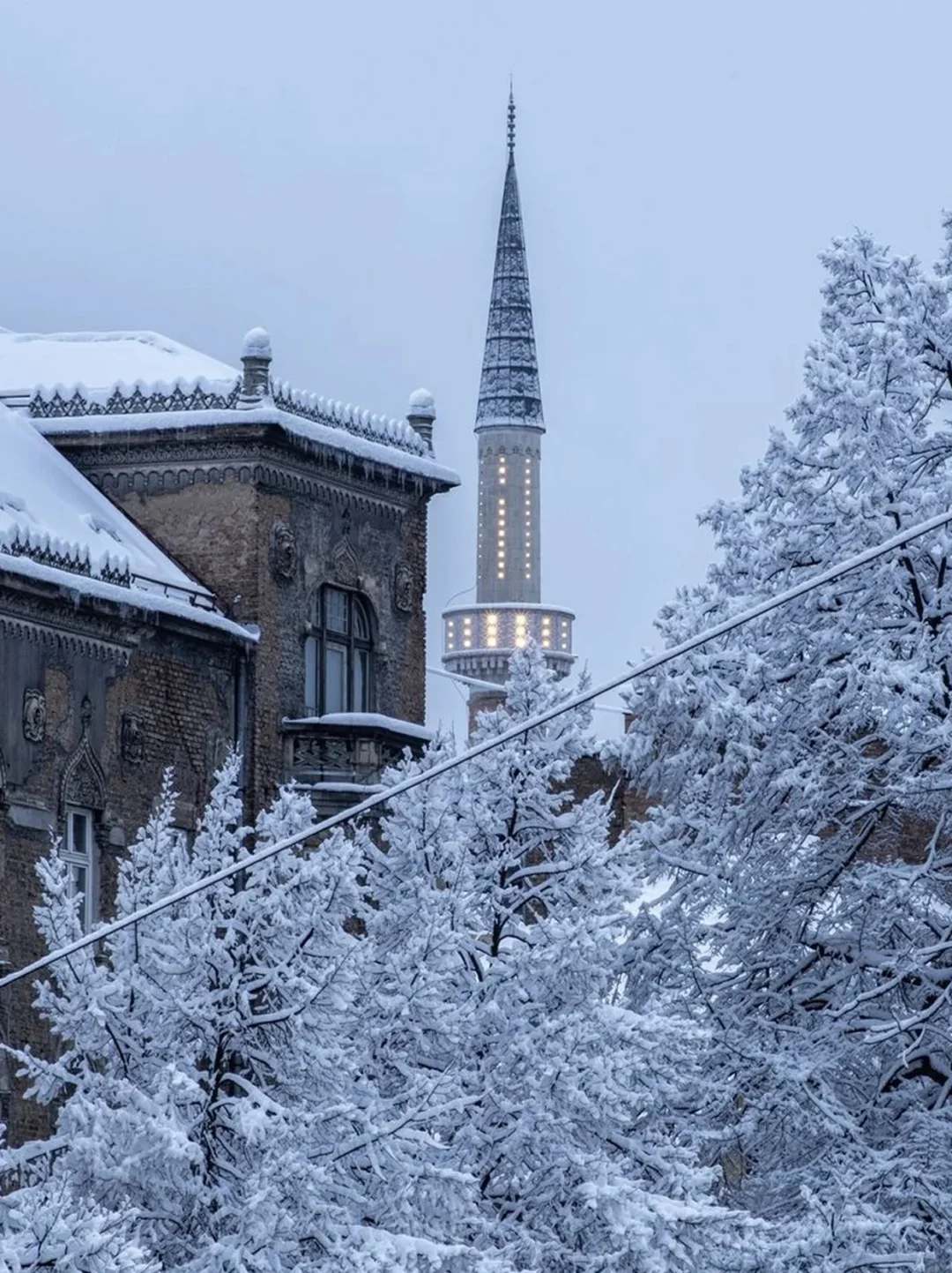 免签12国✈️对中国红护照友好目的地🌟