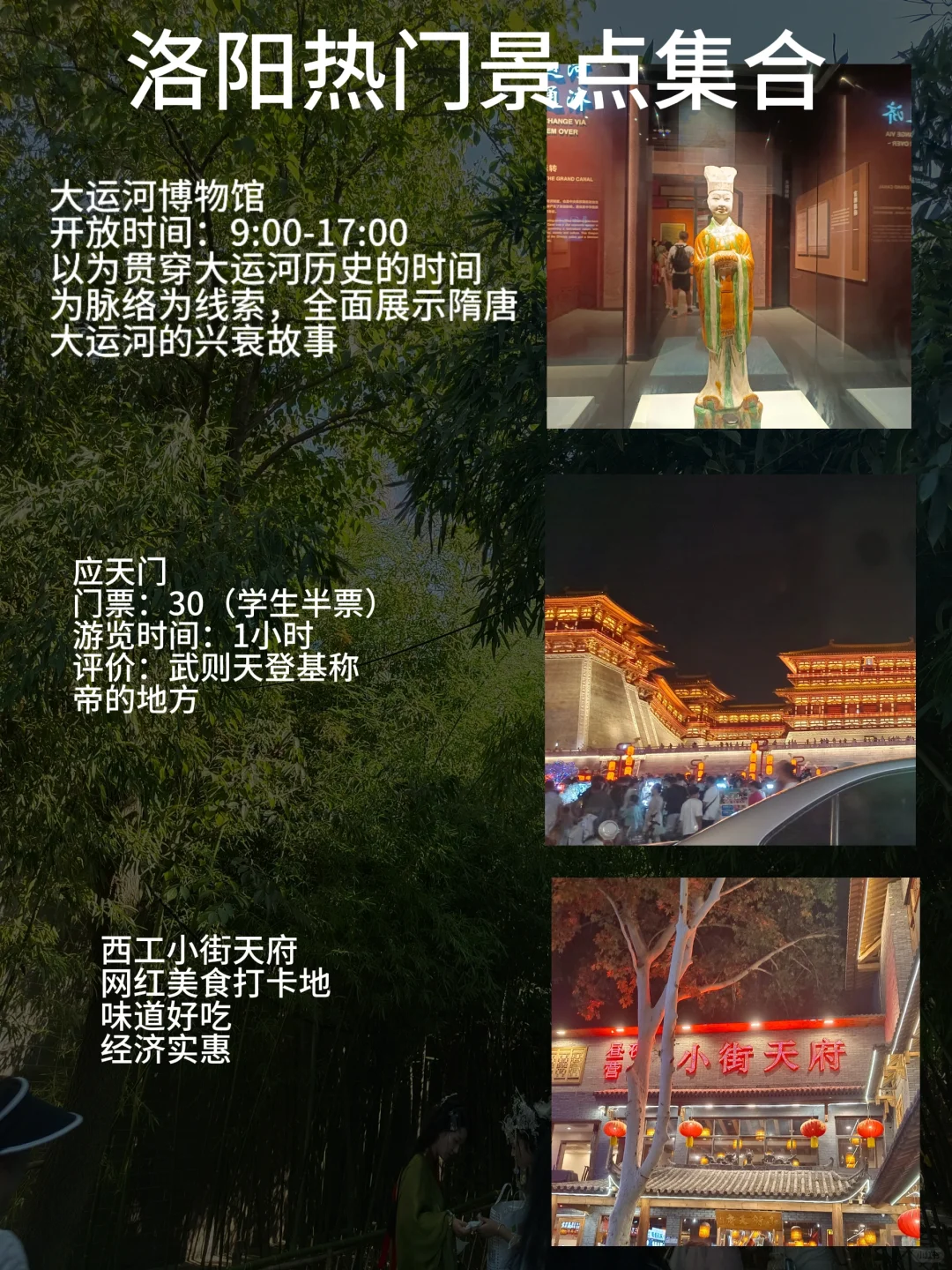 洛阳会惩罚每一个不提前预约的人🤔