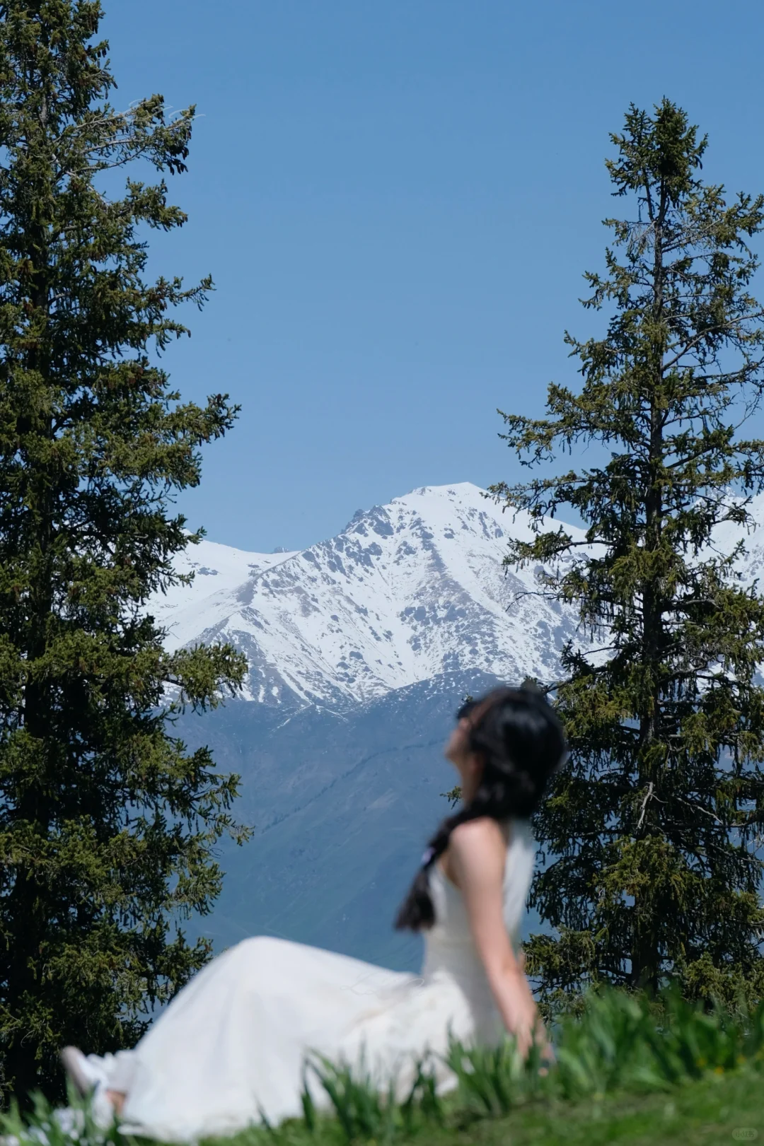 新疆保姆级旅游攻略｜🏔️五月的伊犁美到失语