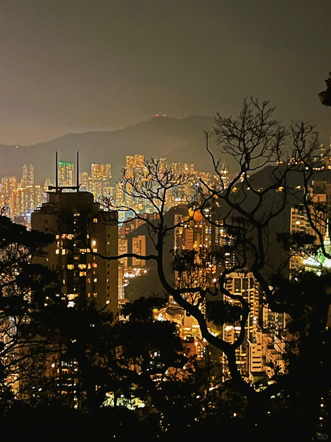 史上最全香港旅行攻略！先收藏！