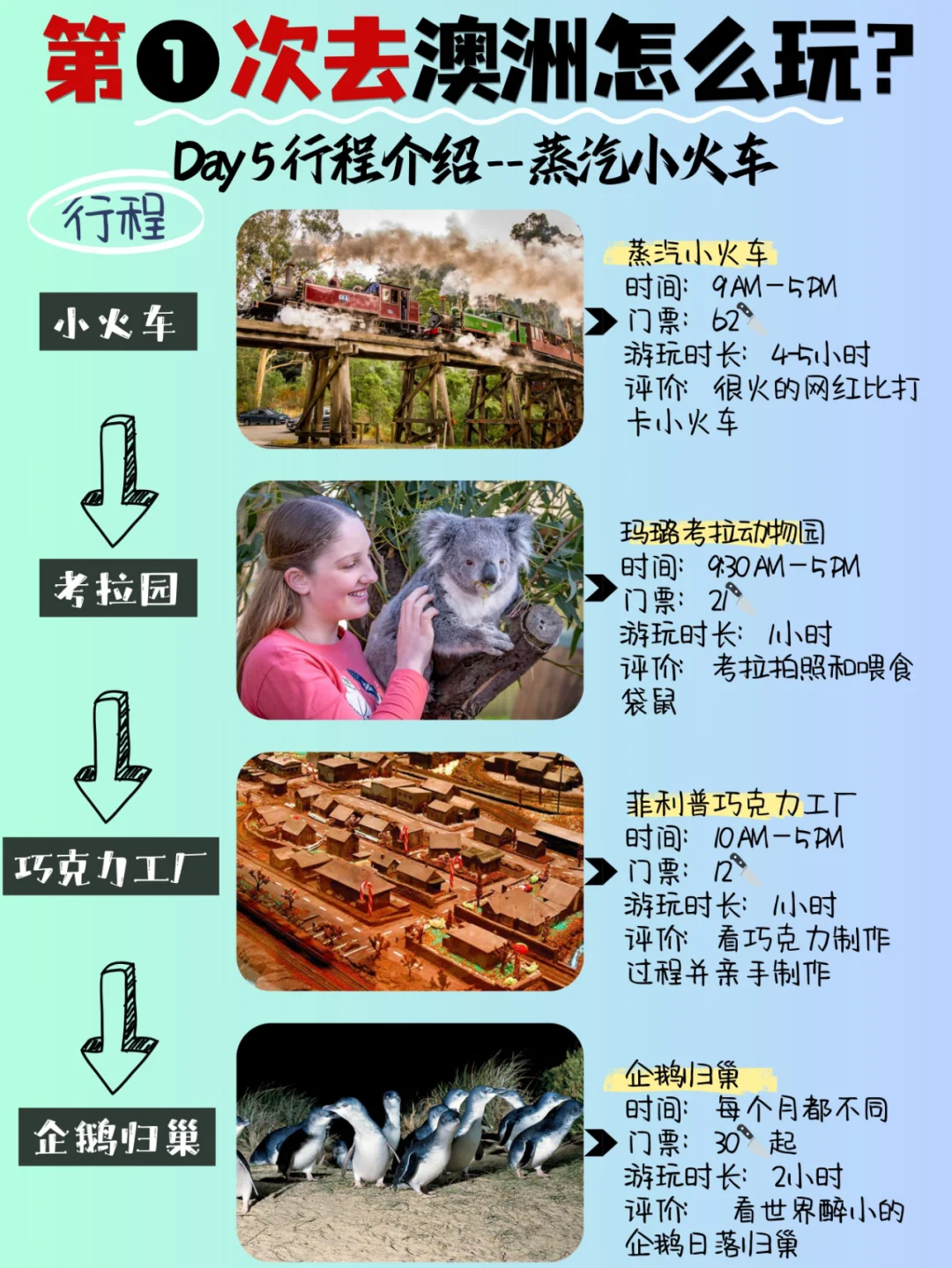 攻略✨第➊次来澳大利亚看这篇就够了‼️