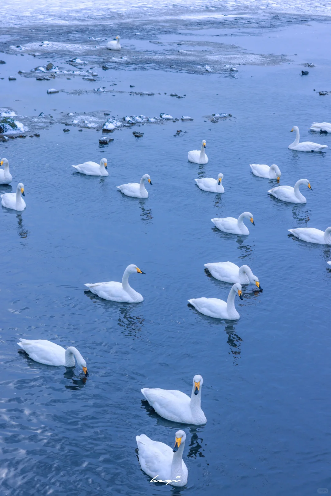 ❄️冬日去威海看雪一定要做的9️⃣件事，附攻略