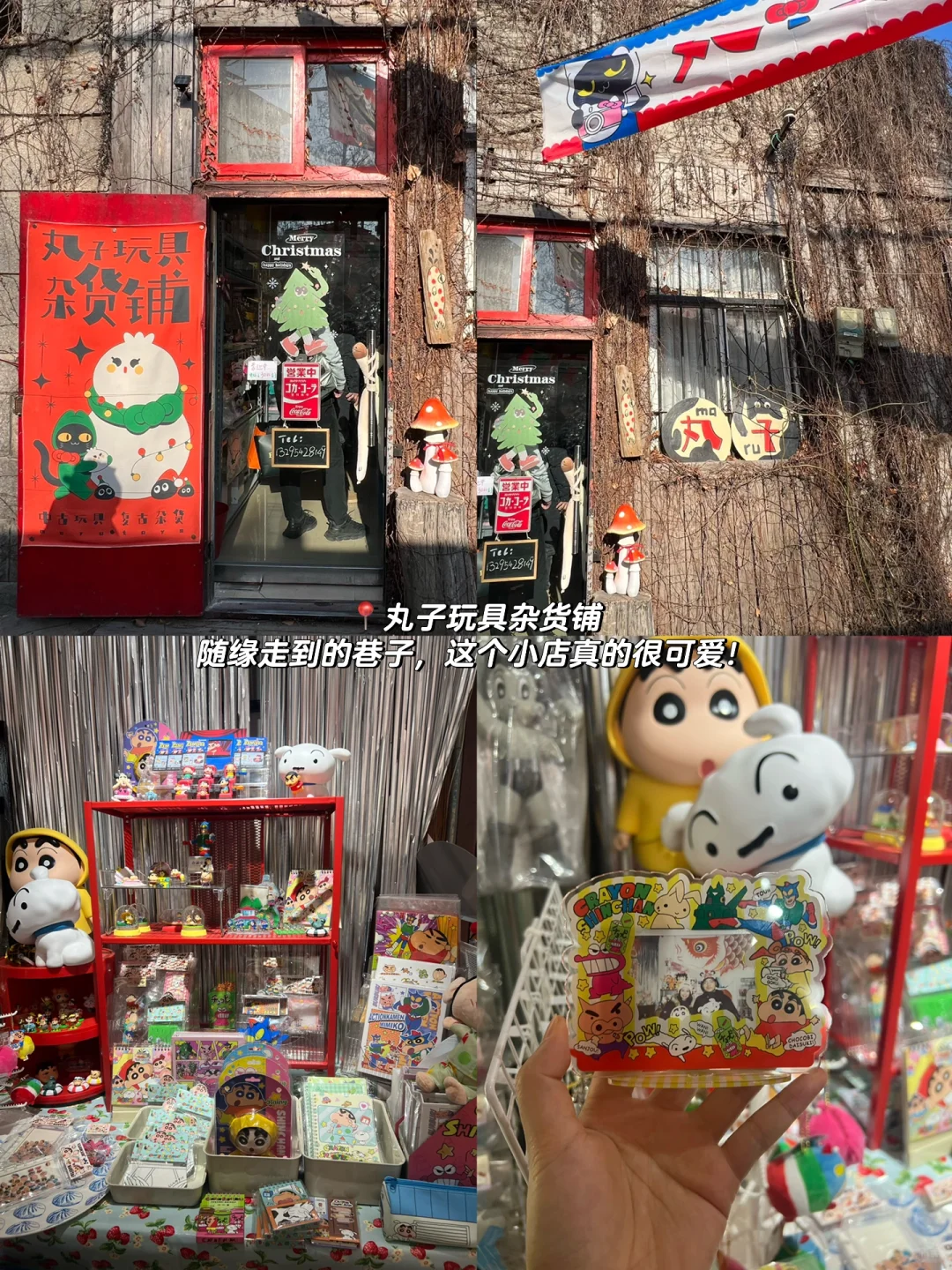 青岛威海四天三夜🌊人均💰2100