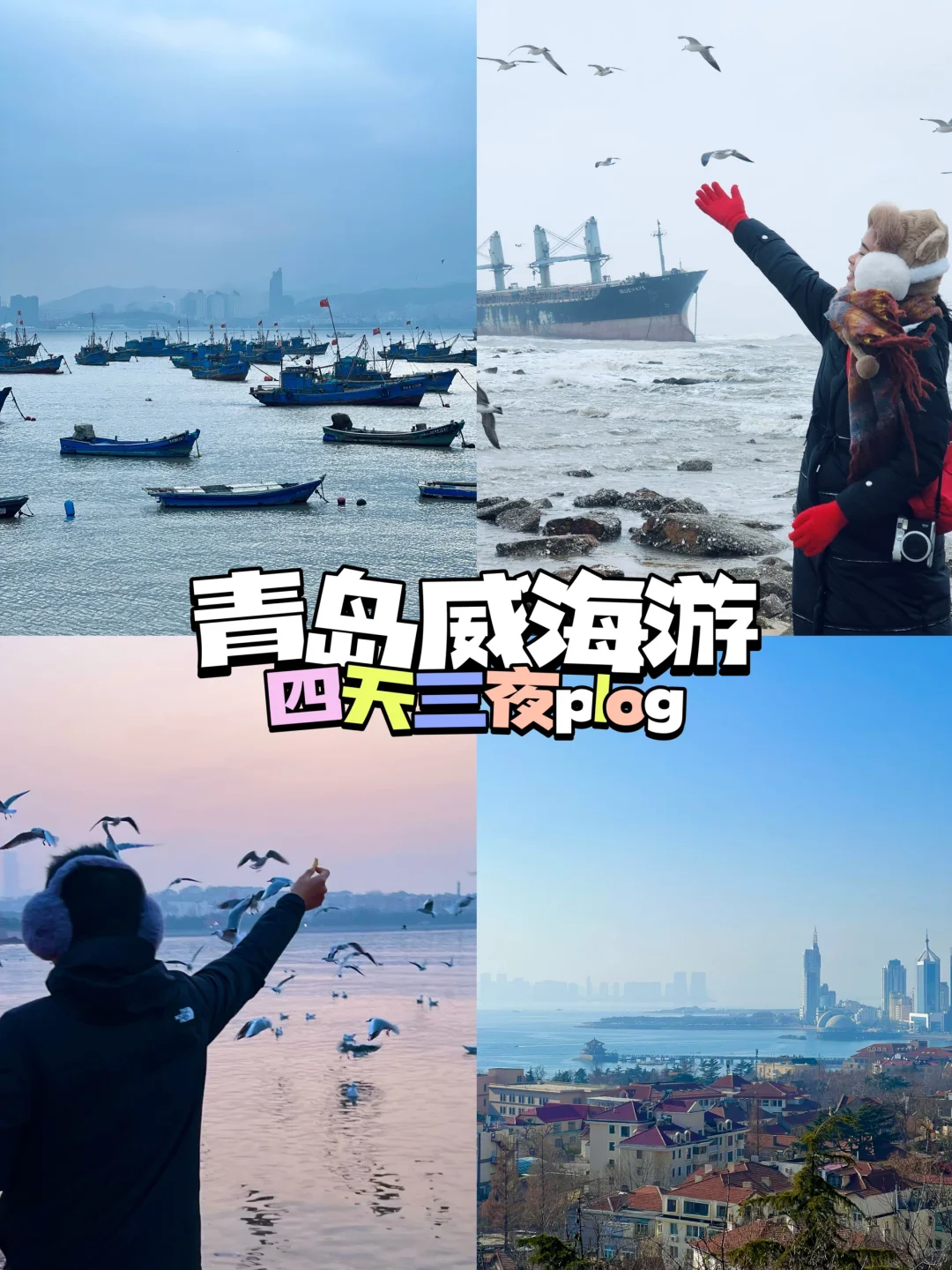 青岛威海四天三夜🌊人均💰2100