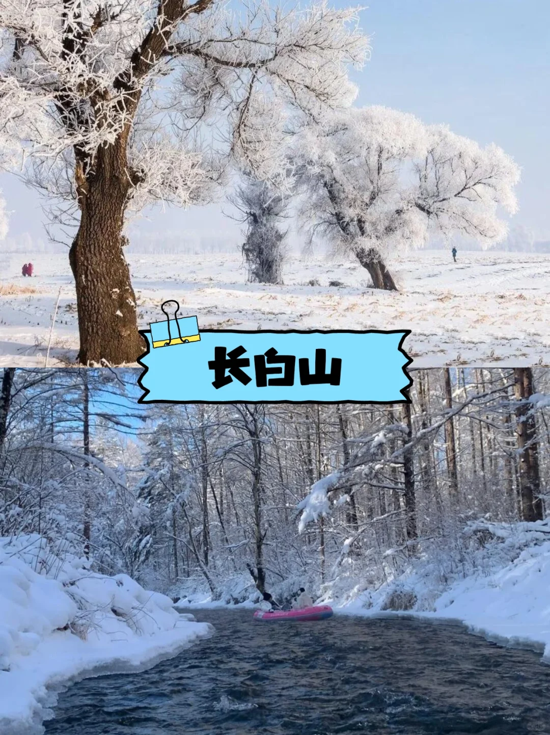 避坑指南~哈尔滨旅游 包车+地陪攻略🔥