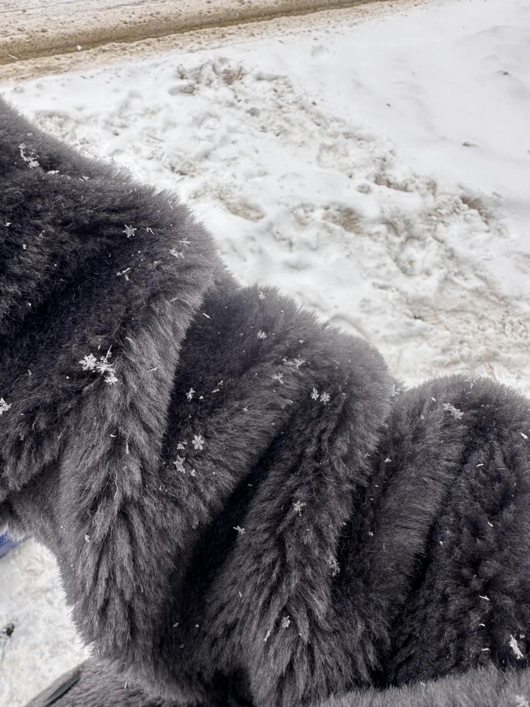 不到一万在俄罗斯玩半个月攻略纯享版