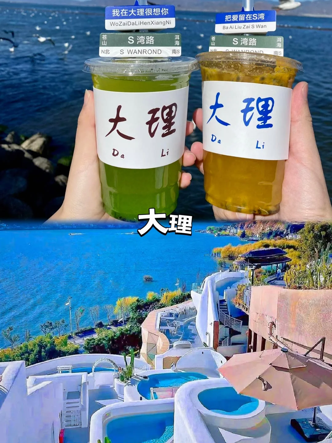 12月云南旅游——听劝别当大冤种!