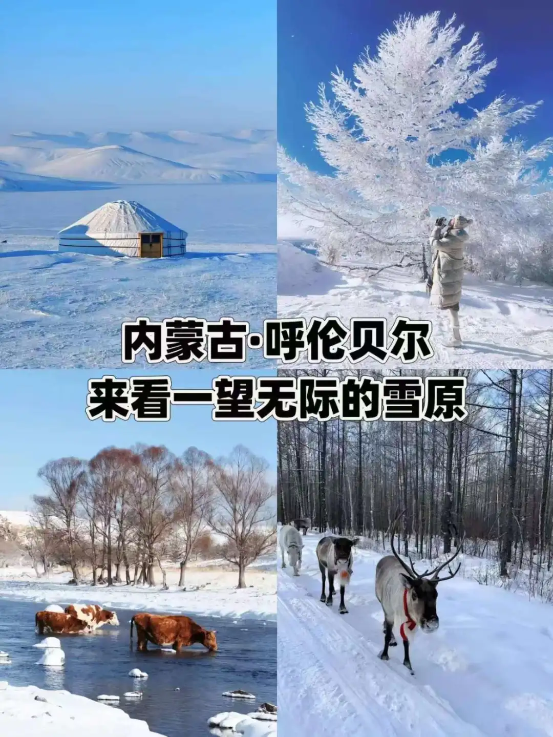 ❄️适合冬天旅游的十大城市