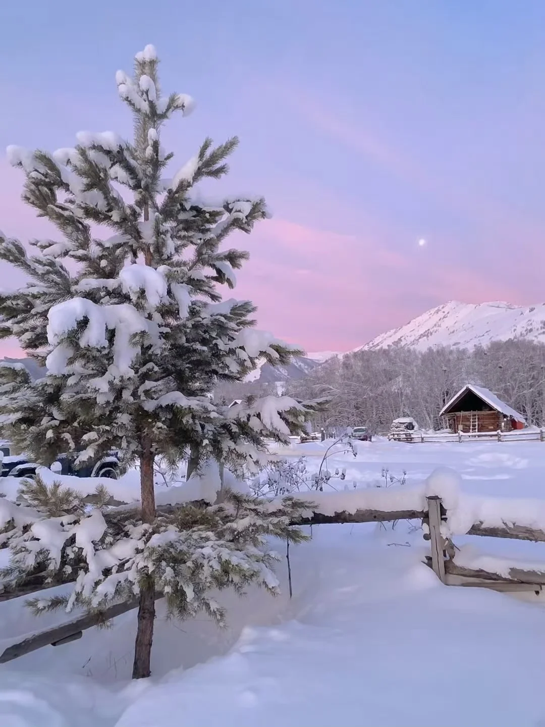 ❄️冬季阿勒泰|喀纳斯+禾木+滑雪⛷️七日游‼