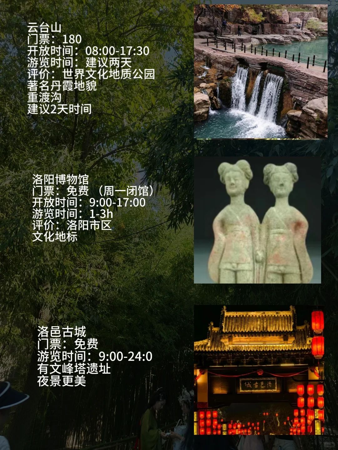 洛阳会惩罚每一个不提前预约的人🤔