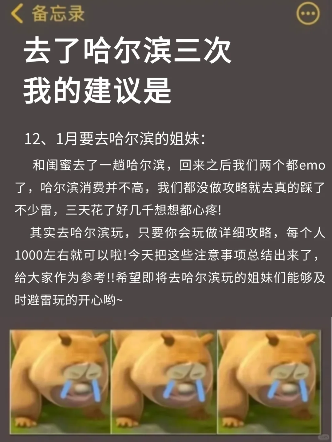 写给12-2月哈尔滨旅游的姐妹👯超全避雷攻