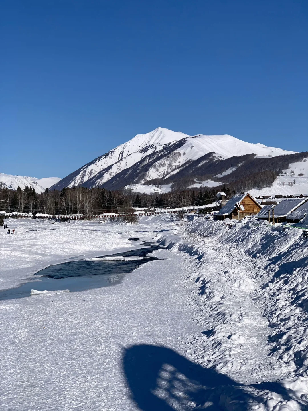 ❄️冬季阿勒泰|喀纳斯+禾木+滑雪⛷️七日游‼