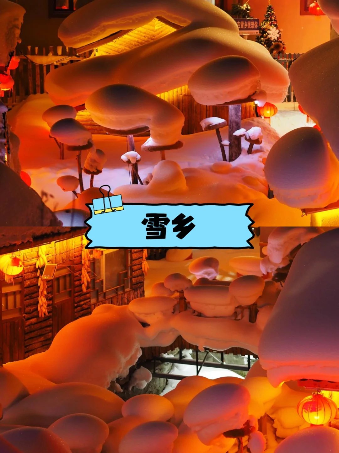 避坑指南~哈尔滨旅游 包车+地陪攻略🔥