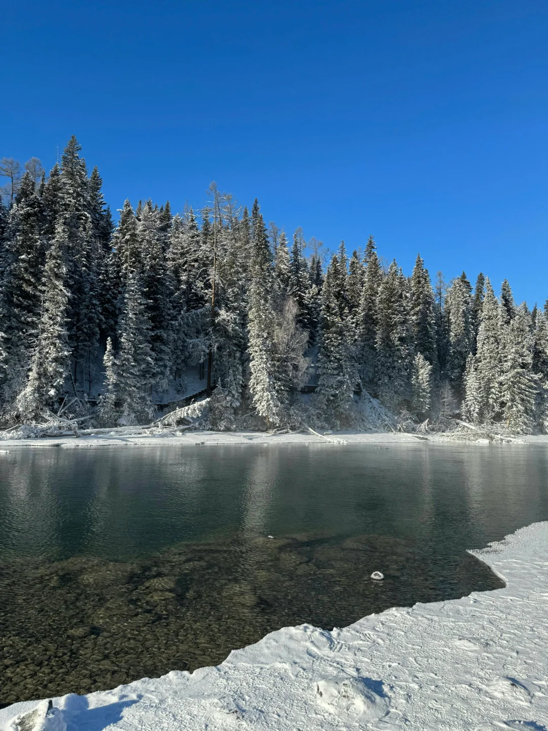 ❄️冬季阿勒泰|喀纳斯+禾木+滑雪⛷️七日游‼