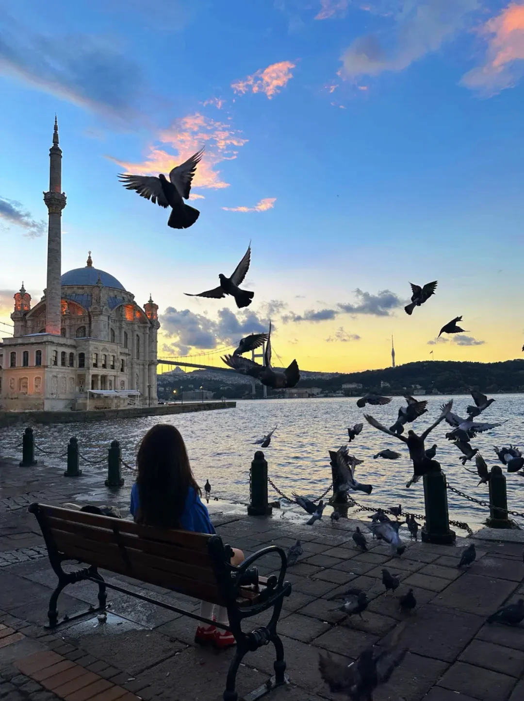 免签12国✈️对中国红护照友好目的地🌟