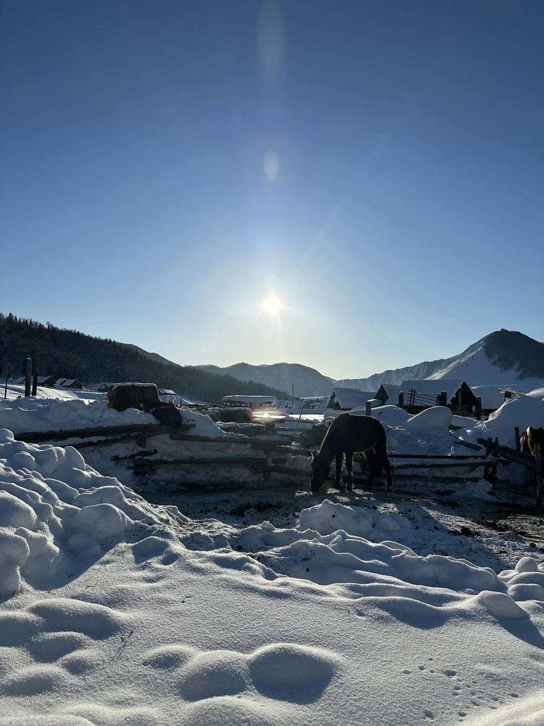 ❄️冬季阿勒泰|喀纳斯+禾木+滑雪⛷️七日游‼
