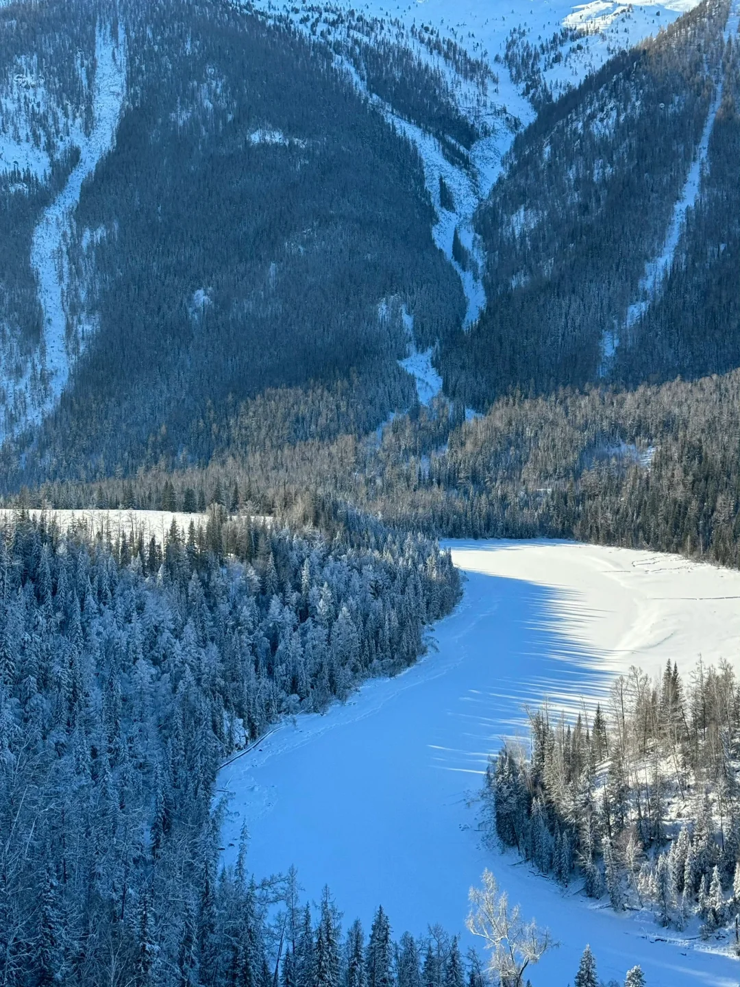 ❄️冬季阿勒泰|喀纳斯+禾木+滑雪⛷️七日游‼