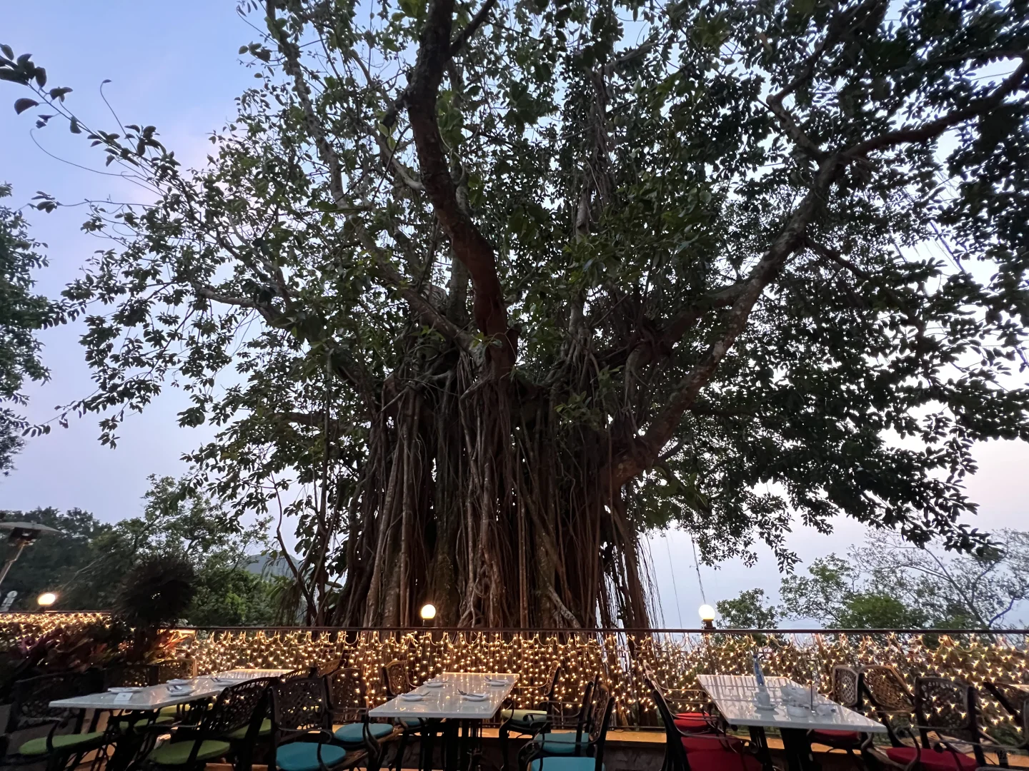 史上最全香港旅行攻略！先收藏！