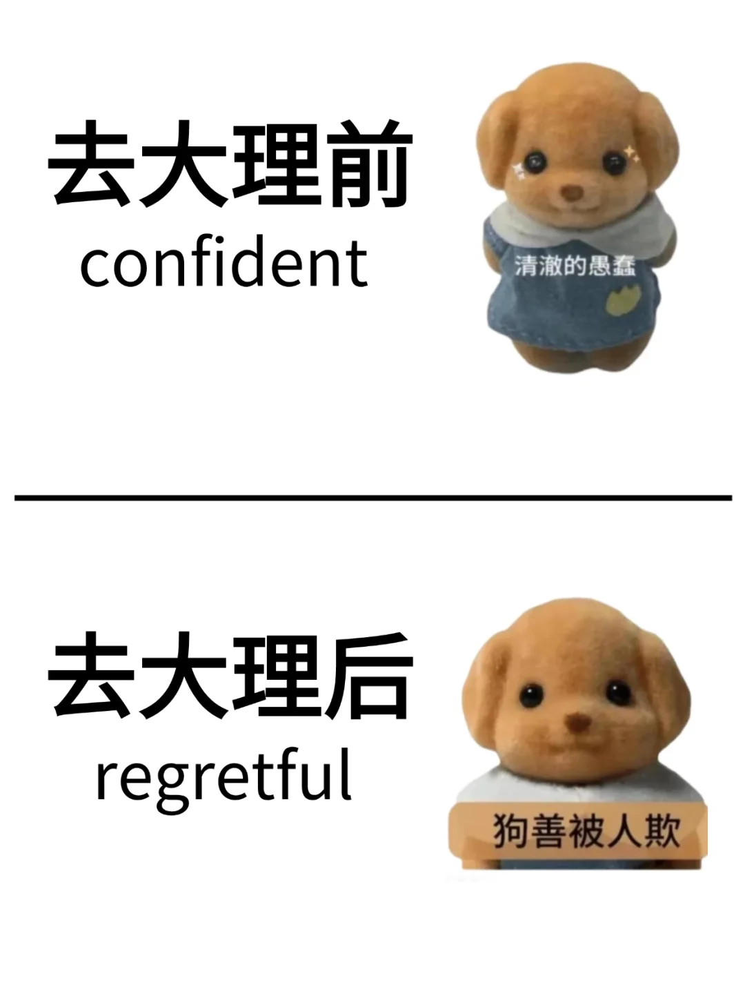 刚从大理回来（我的建议是）认真看完...