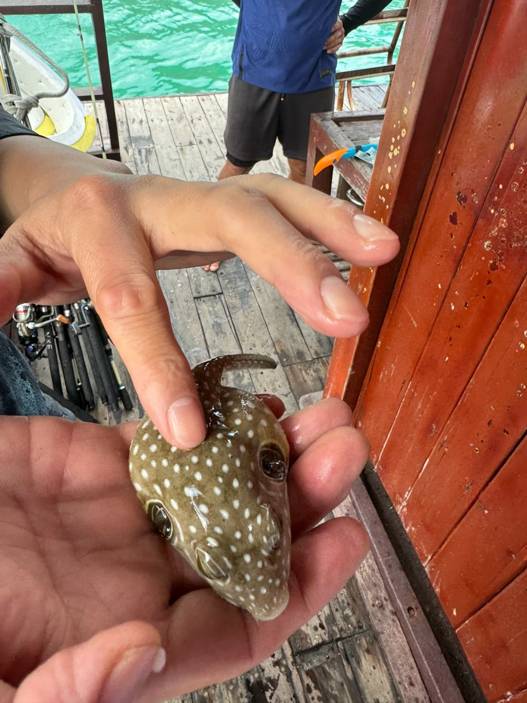 越南旅游攻略|实用地图⭐干货满满