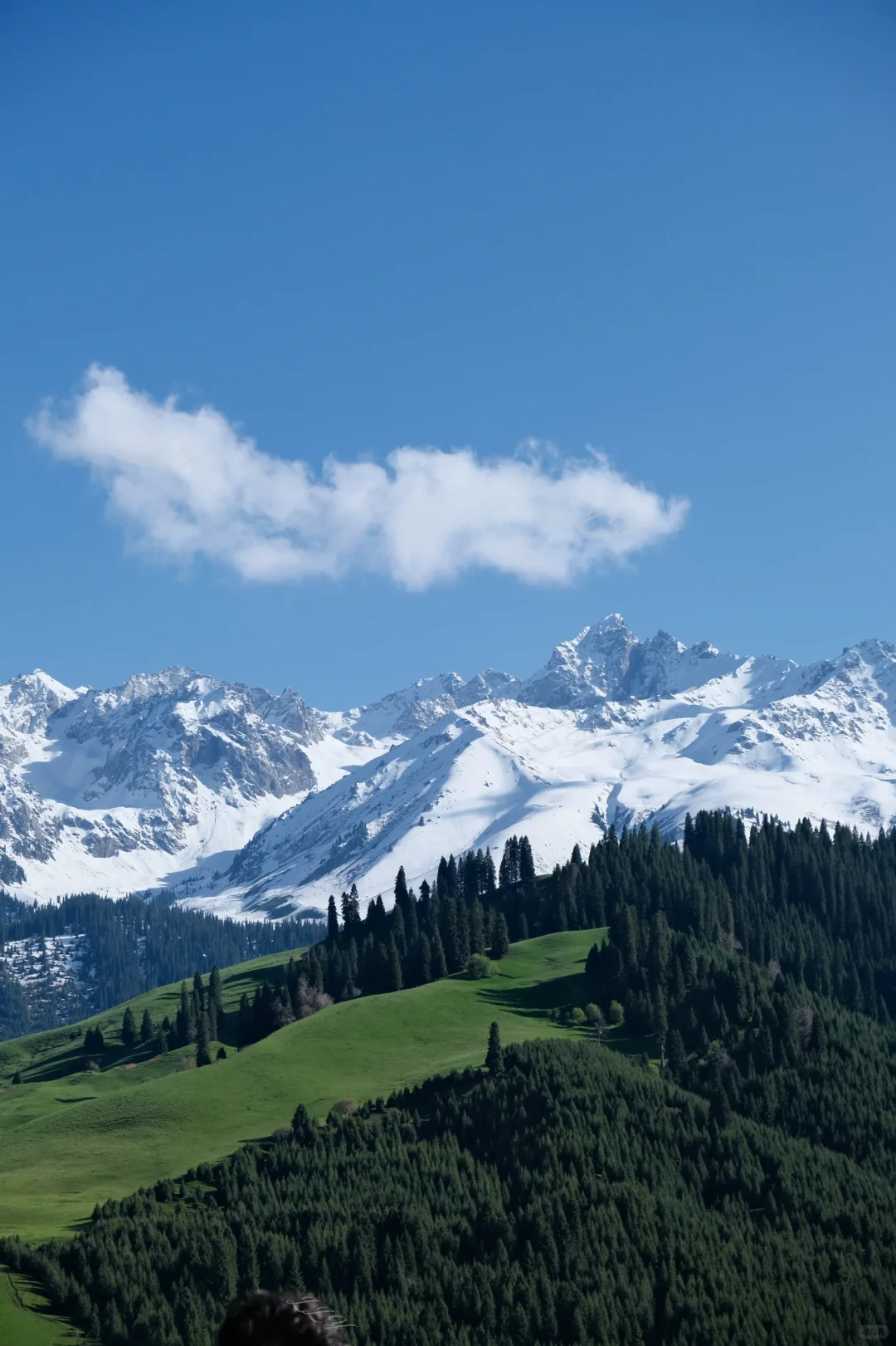 新疆保姆级旅游攻略｜🏔️五月的伊犁美到失语