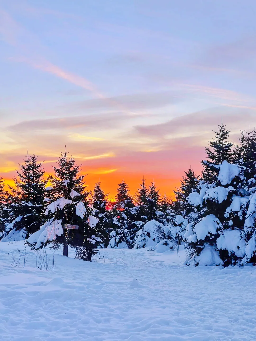 12-3月的长白山太好看了！超全攻略👇