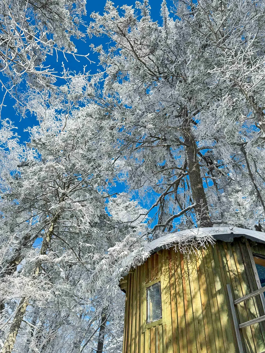 12-3月的长白山太好看了！超全攻略👇