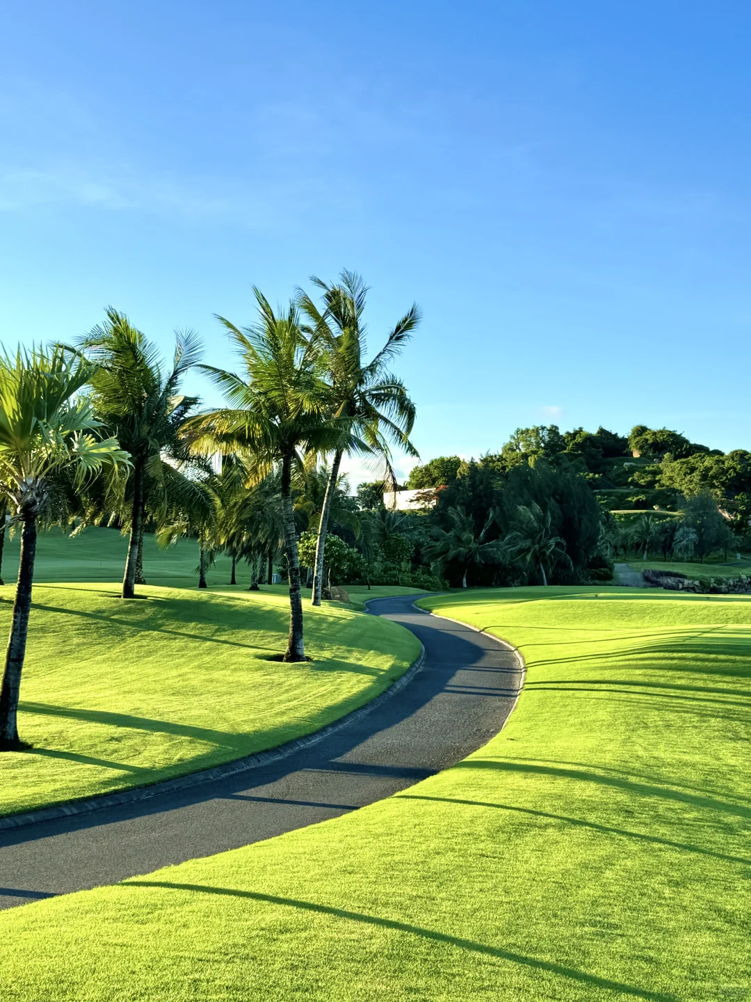 小红书没骗人😭三亚超小众绝美大海椰林草坪