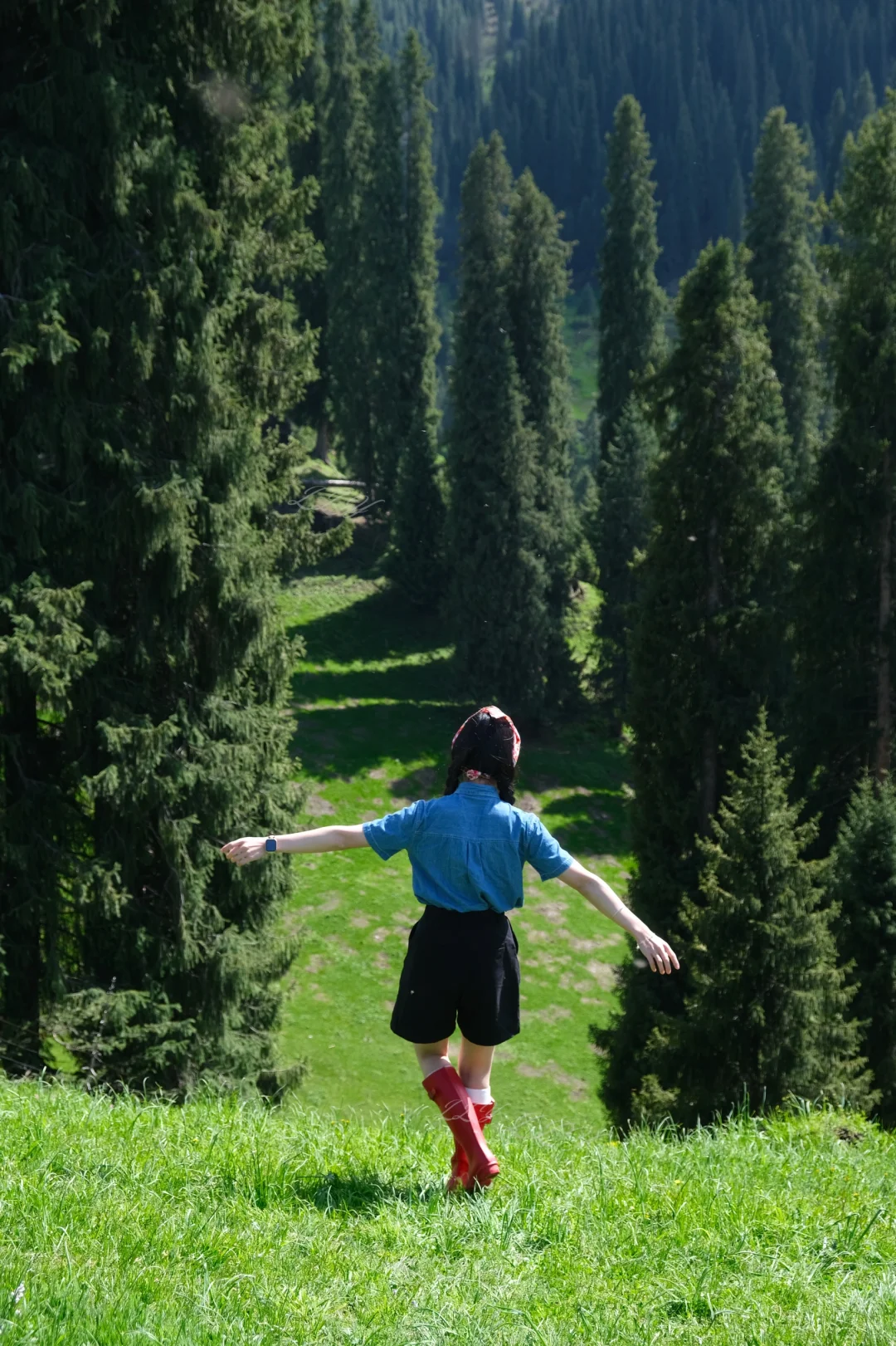 新疆保姆级旅游攻略｜🏔️五月的伊犁美到失语