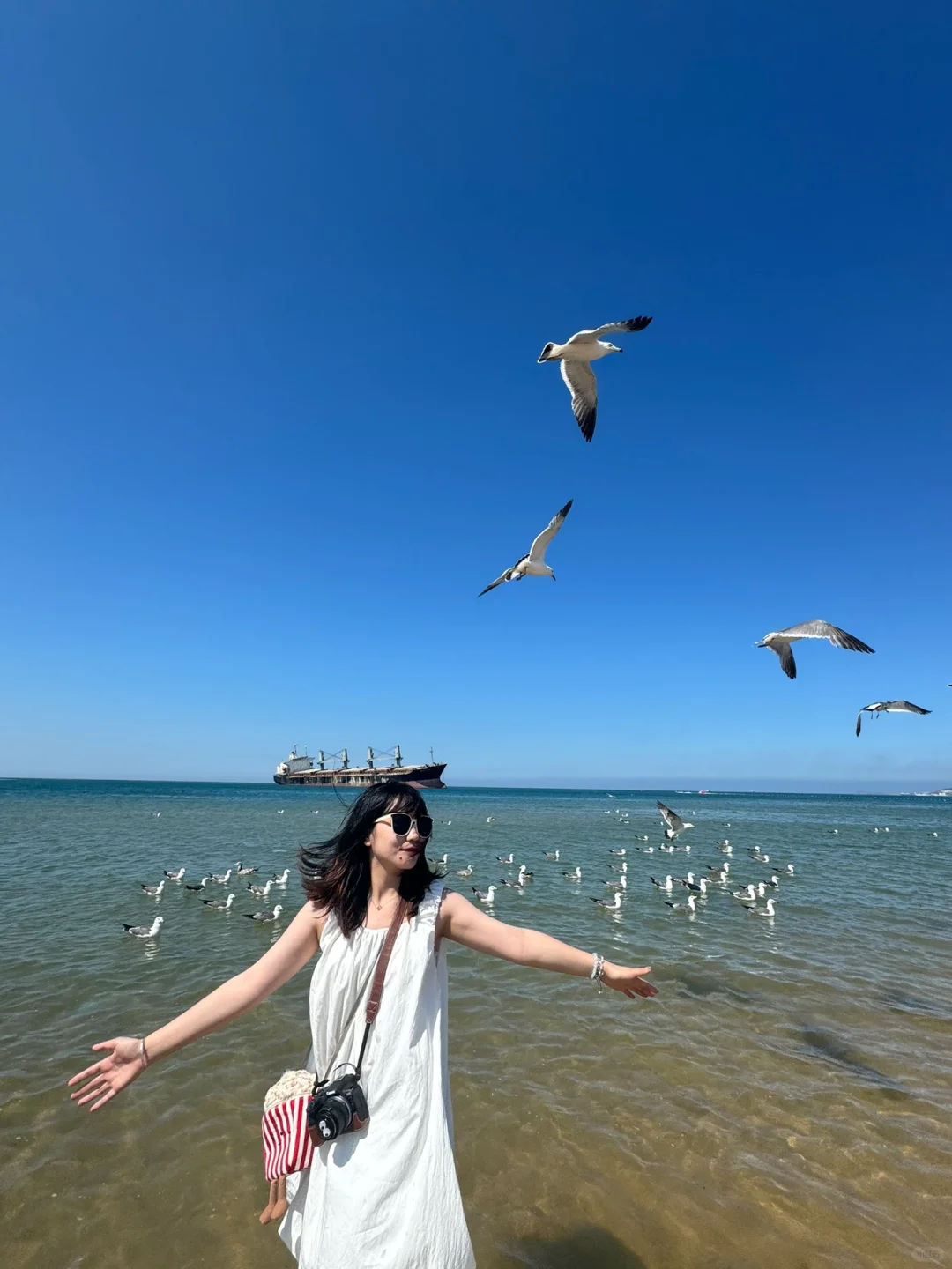 青岛2天威海1天烟台1天 人均2200旅游攻略