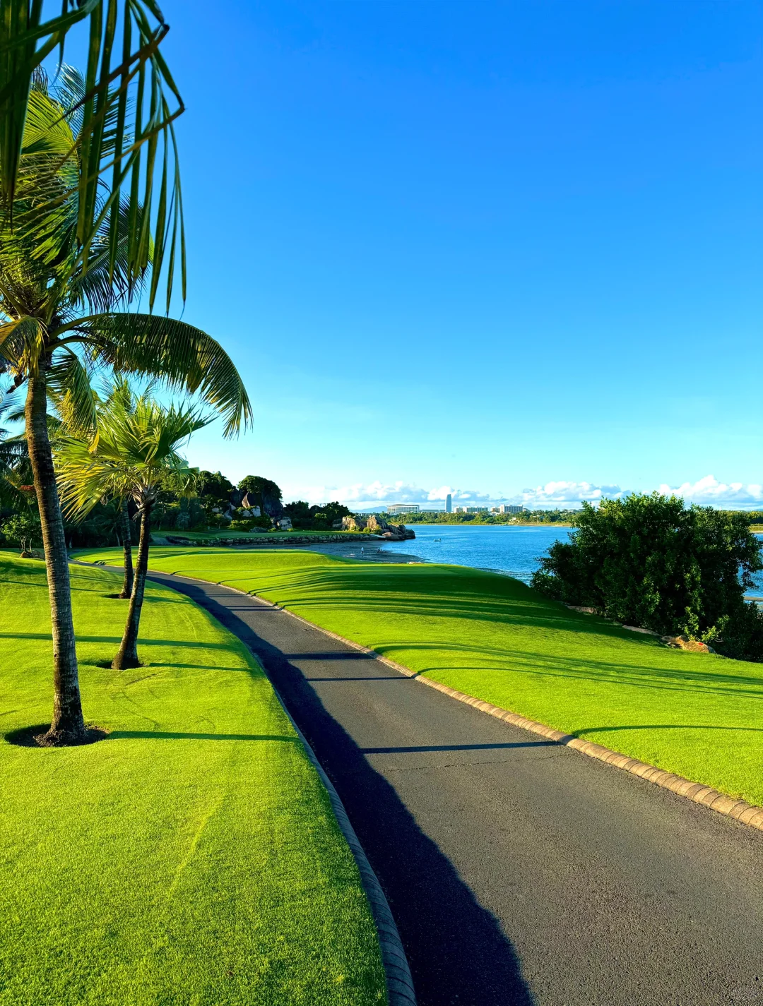 小红书没骗人😭三亚超小众绝美大海椰林草坪