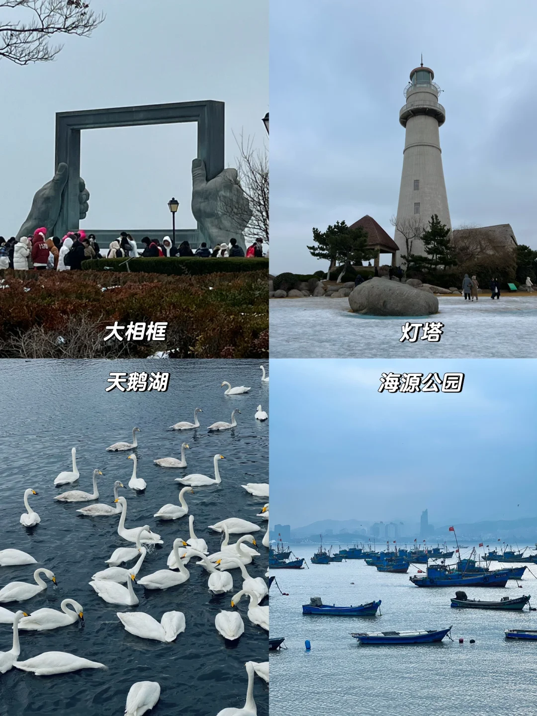 青岛威海四天三夜🌊人均💰2100